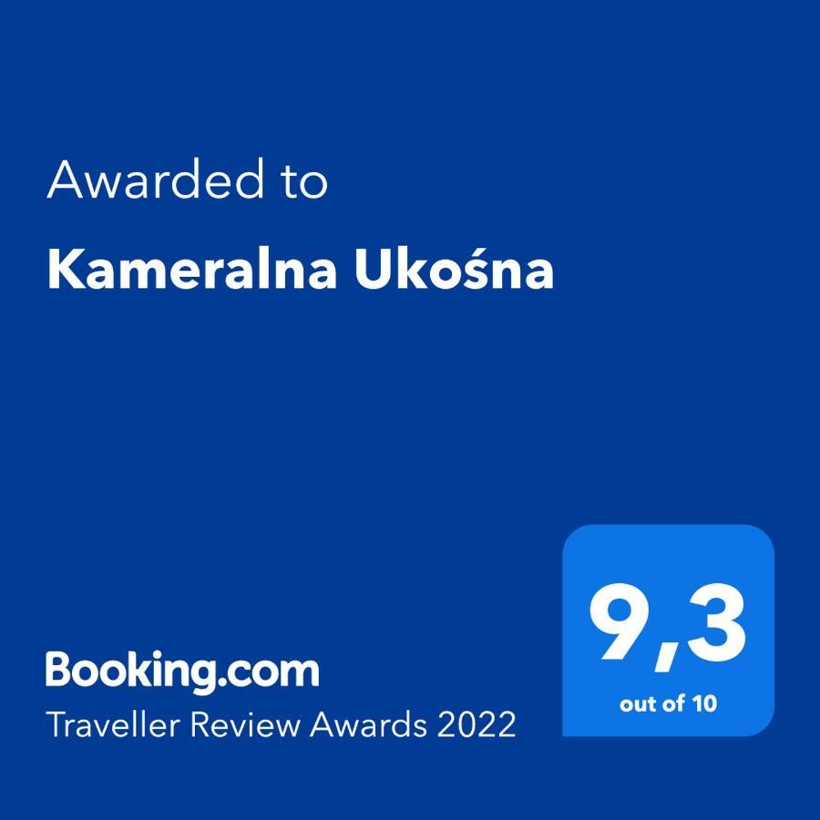 Kameralna Ukosna Apartment Bialystok Luaran gambar